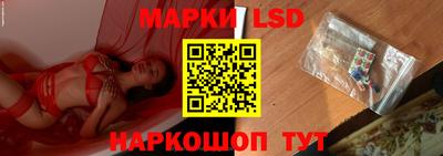 гидропоника Пенза