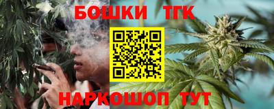 гидропоника Пенза