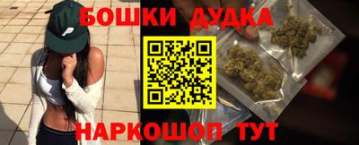 гидропоника Пенза
