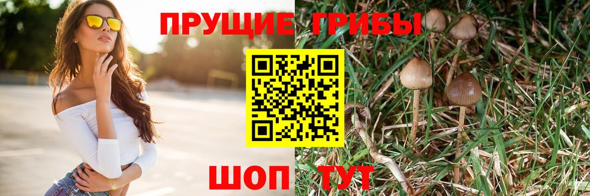 Псилоцибиновые грибы Psilocybine cubensis Алушта
